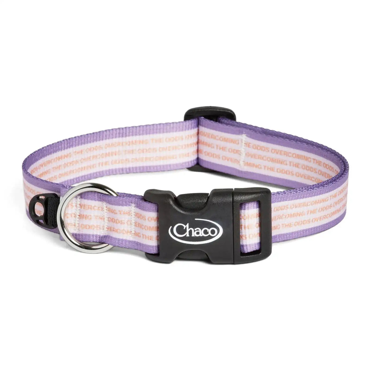 Dog Collar - Overcoming the Odds