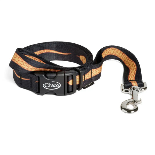 Chaco x Creek Rat Dog Leash