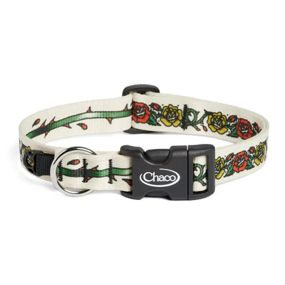 Chaco x Inked Traveler Dog Collar