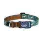Chaco x Inked Traveler Dog Collar