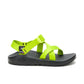 Men's Z/1 Classic Sandal - Limited Edition
