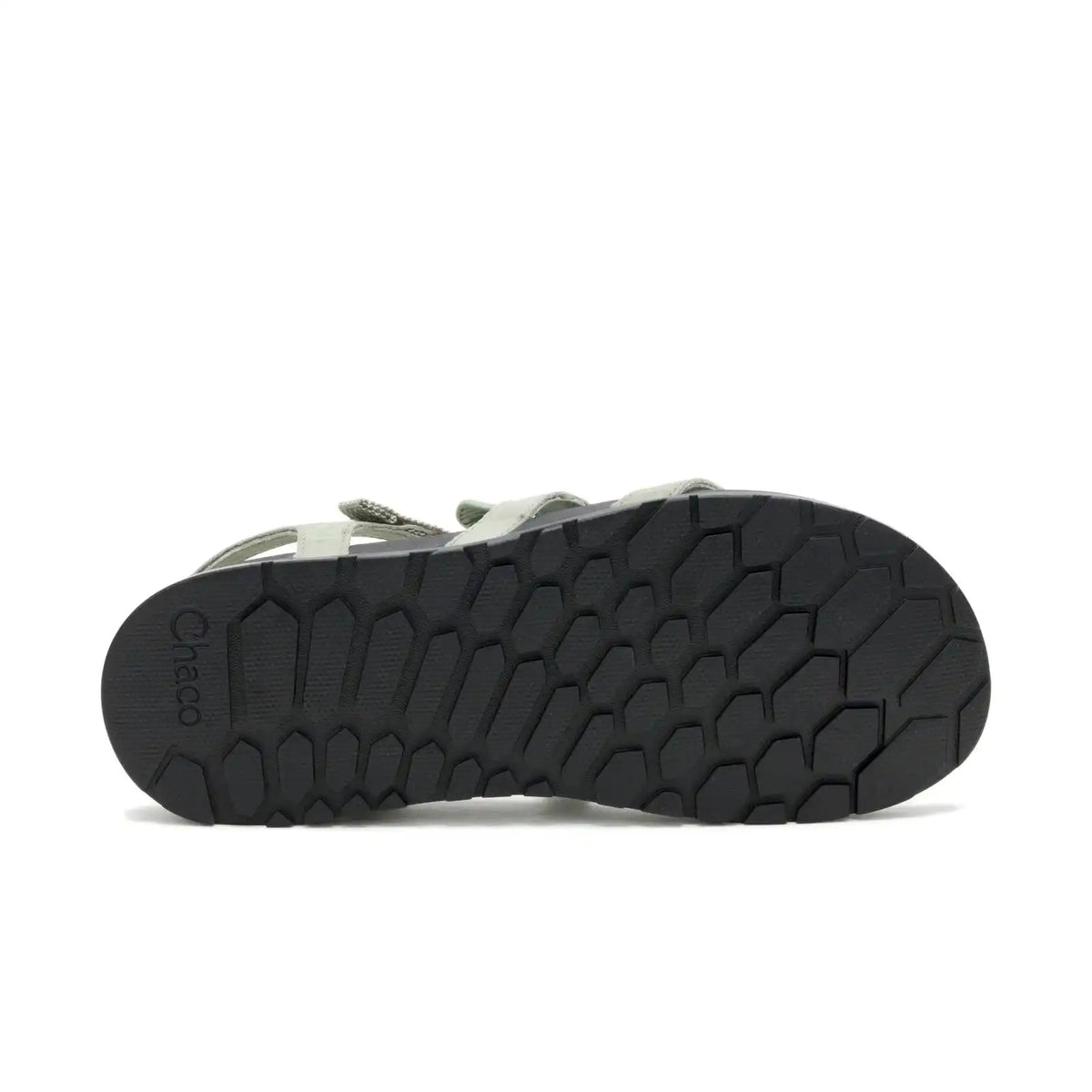Women's Lowdown Strappy Sandal