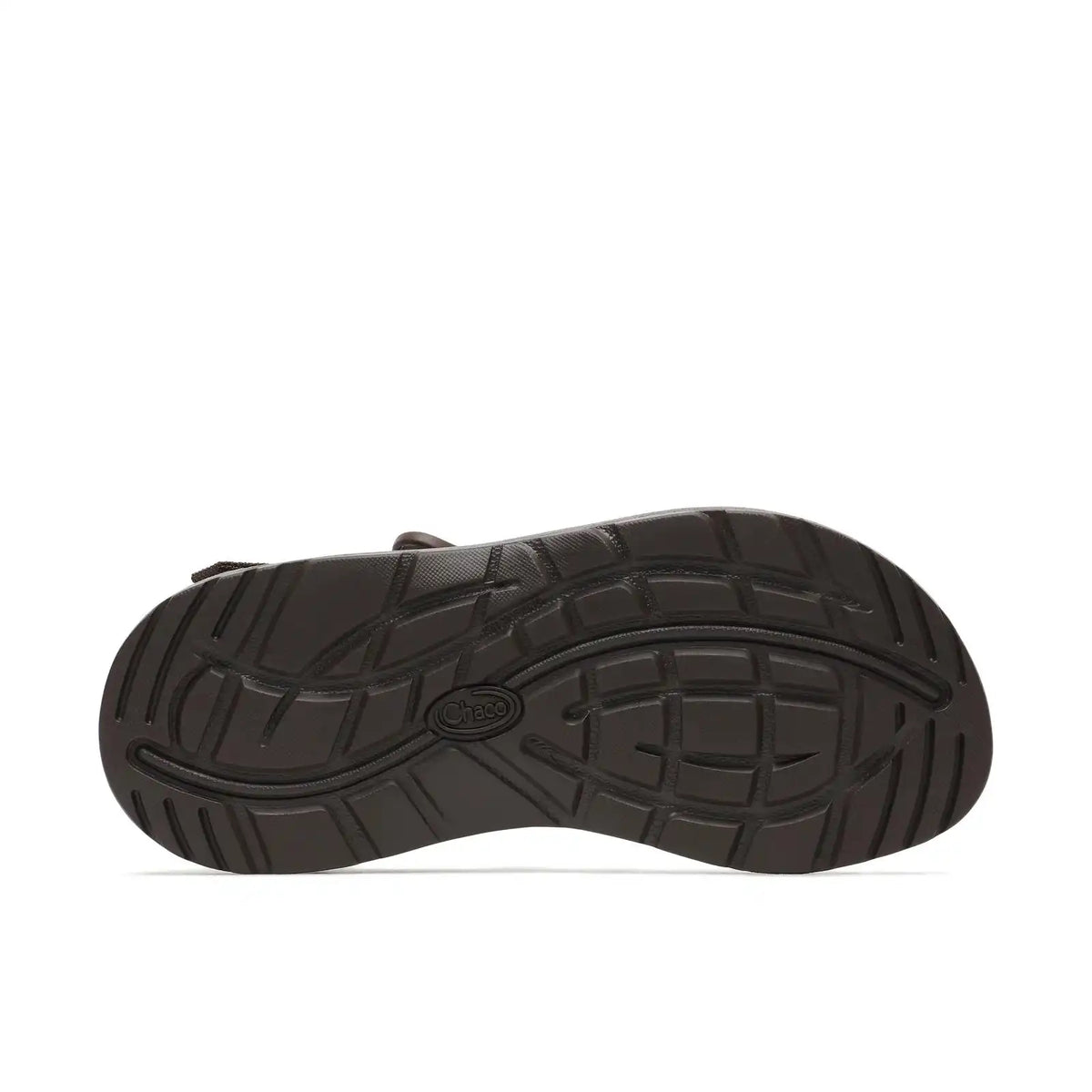 Women's Z/1 Classic Sandal - Limited Edition