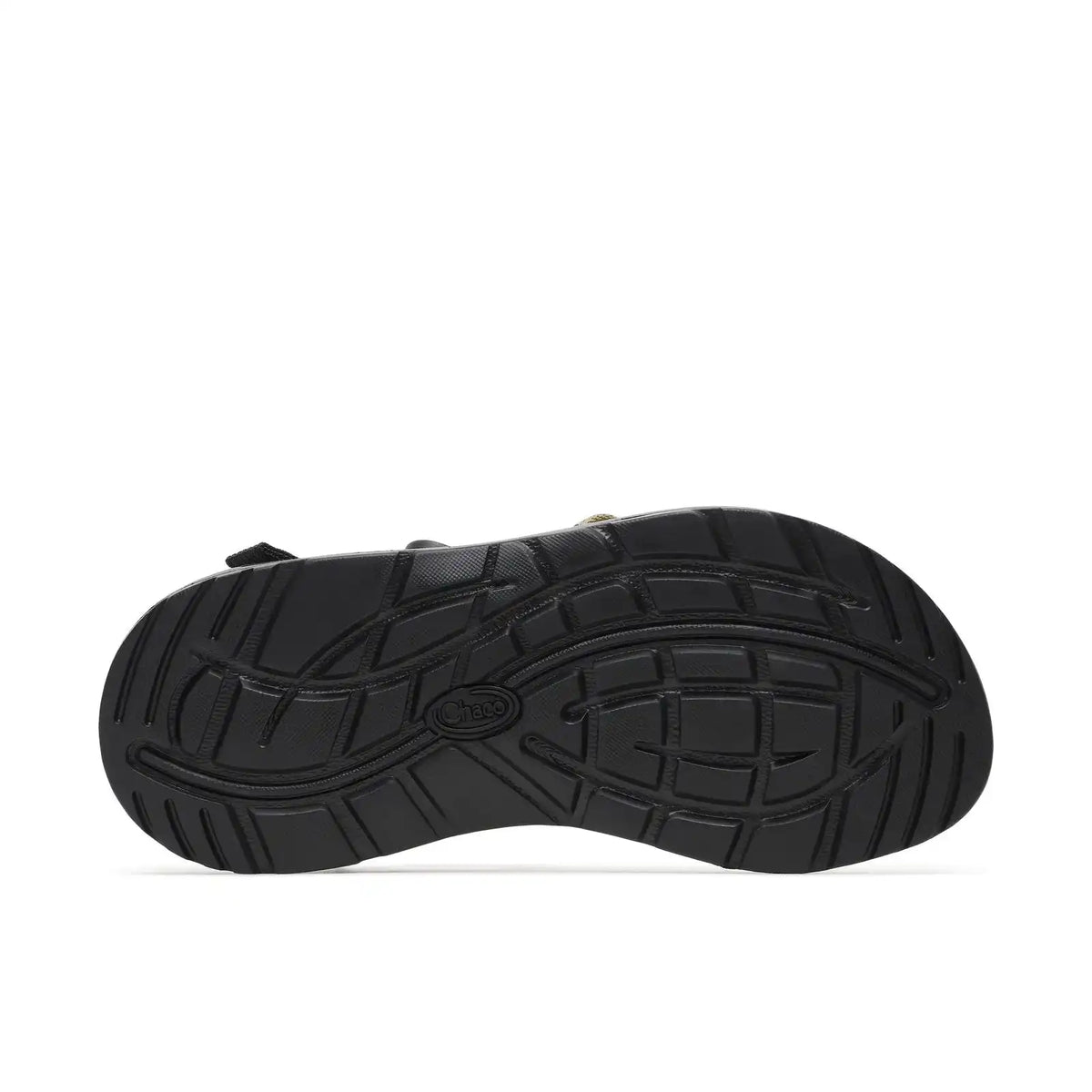 Women's Z/1 Classic Sandal - Limited Edition