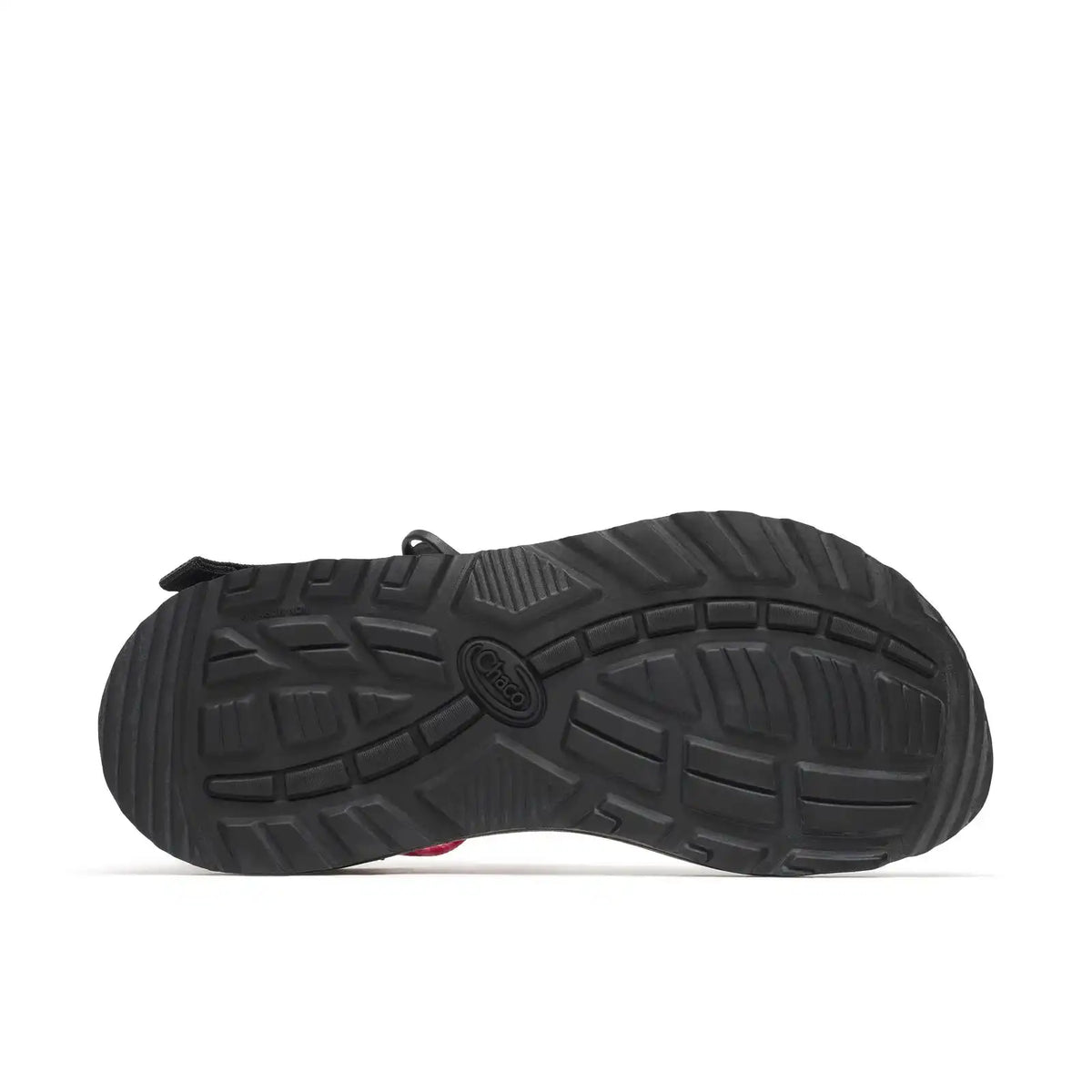 Women's Z/1 Classic Wide-Width Sandal - Limited Edition