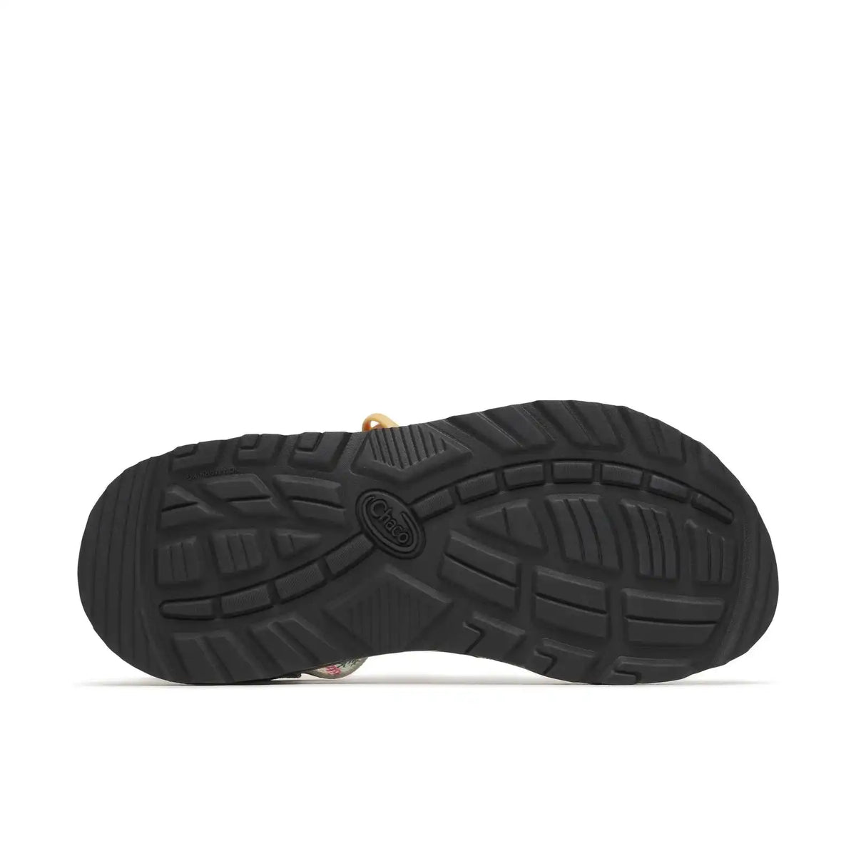 Women's Z/1 Classic Sandal - Limited Edition