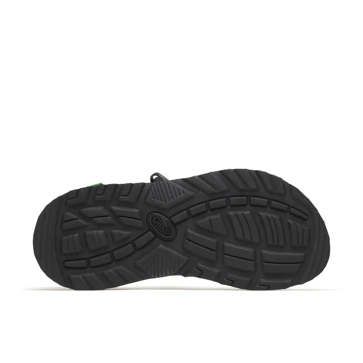 Women's Z/1 Classic Sandal - Limited Edition