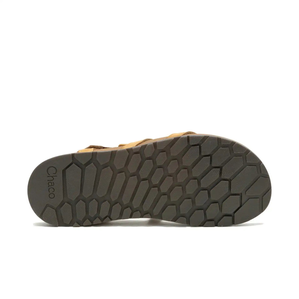 Women's Lowdown Strappy Sandal