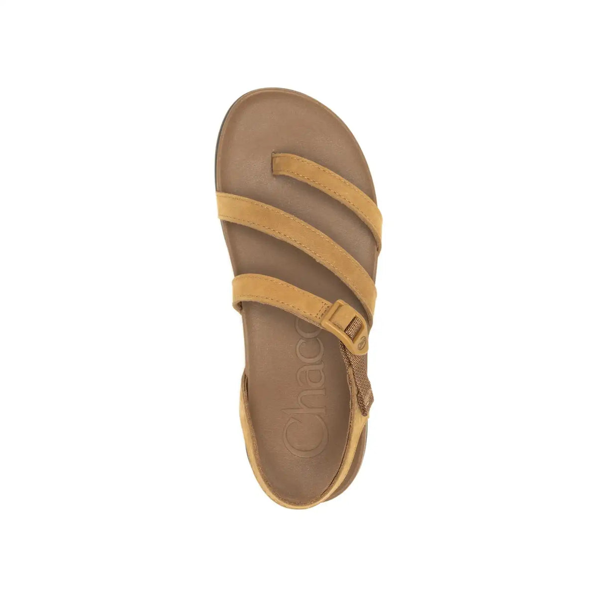 Women's Lowdown Strappy Sandal