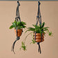 DIY Plant Holder