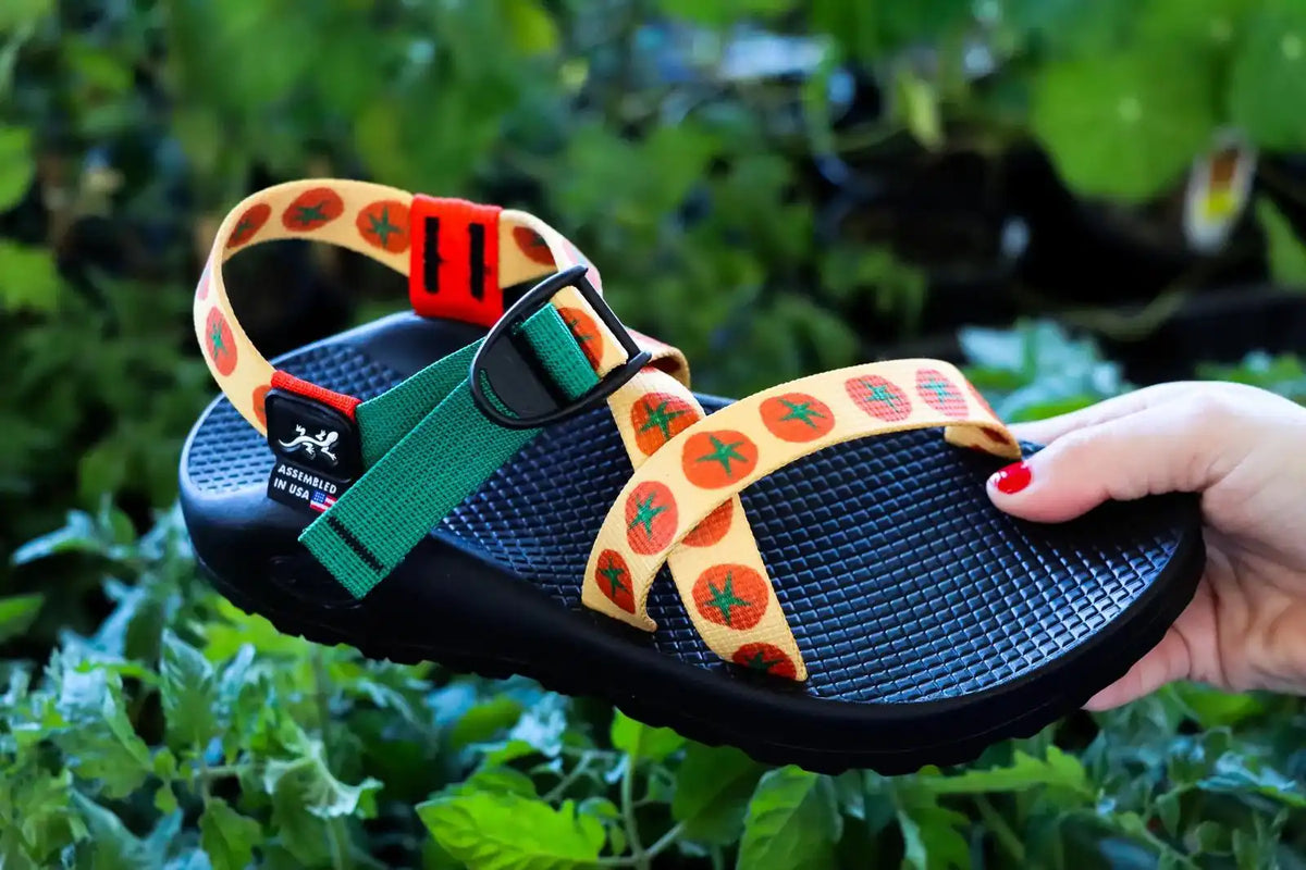 Women's Z/1 Classic Sandal - Limited Edition