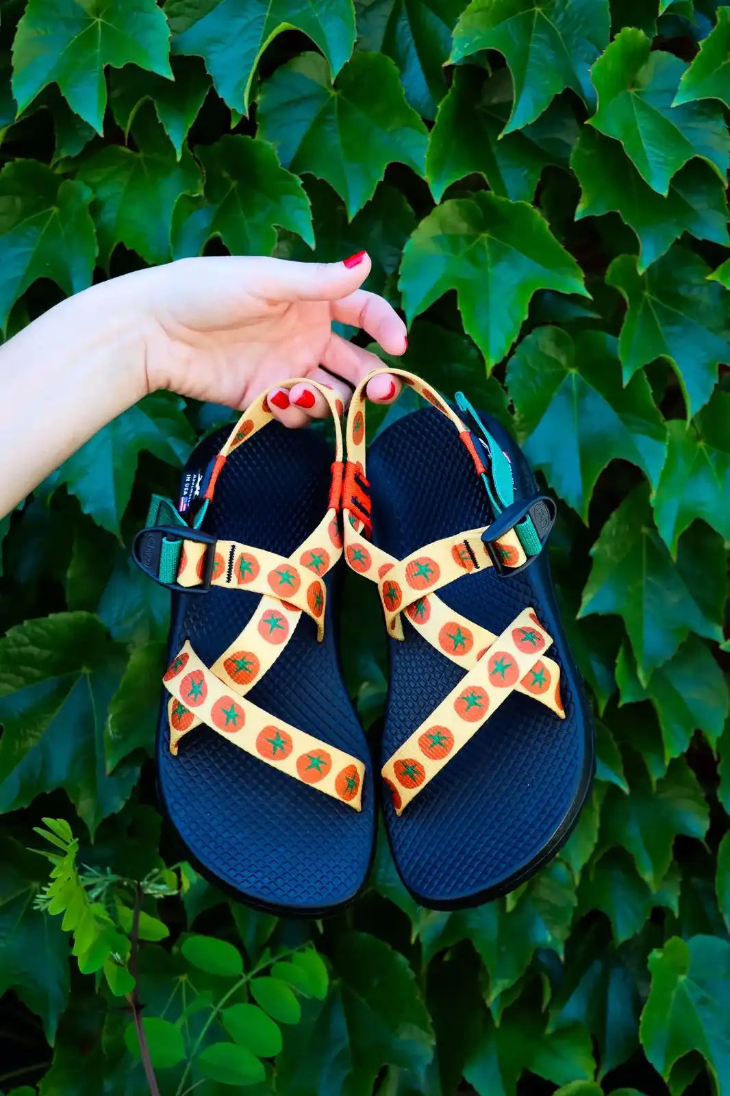 Women's Z/1 Classic Sandal - Limited Edition